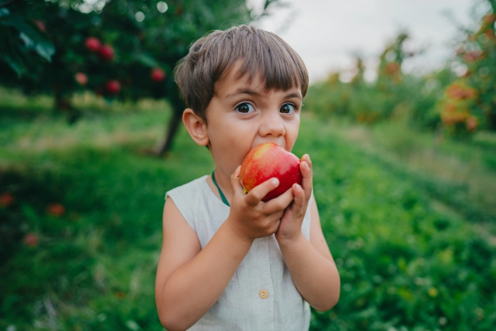 child biting an apple